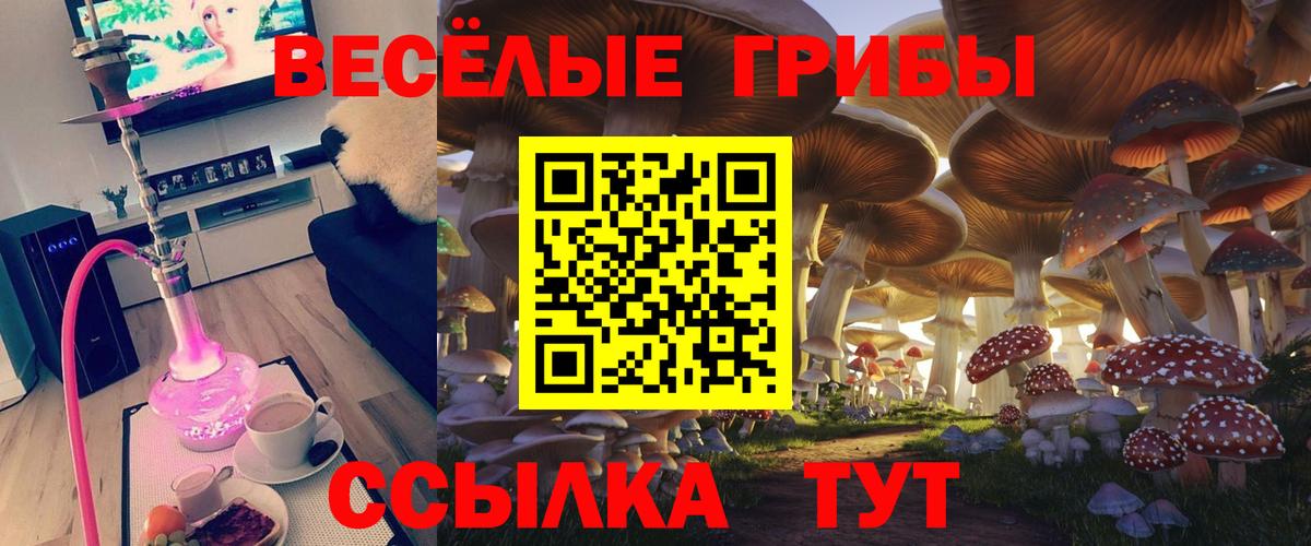 Галлюциногенные грибы Psilocybine cubensis  Галлюциногенные грибы мицелий  Вход с VPN  Киров 